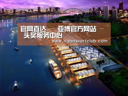 案例展示八