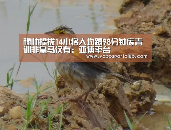 亚博频道