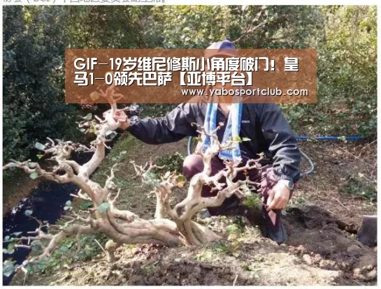 亚博推荐