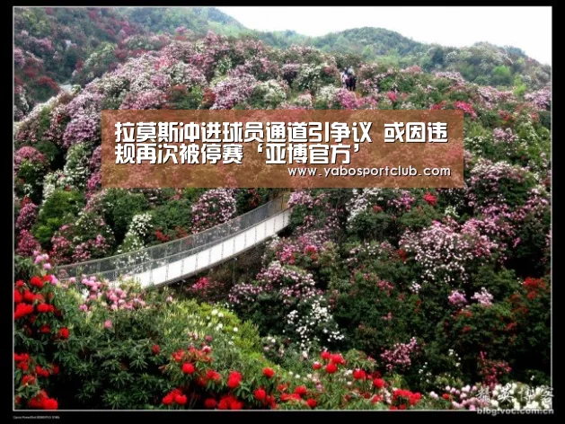 亚博平台