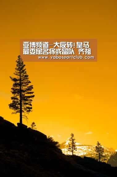 亚博频道-大反转!皇马最委屈名将或留队 齐祖亲手赶走儿子?(图4) 亚博官方