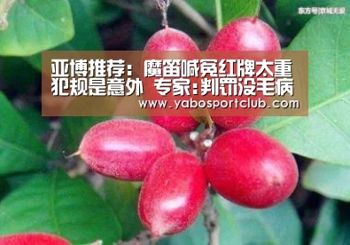 亚博频道